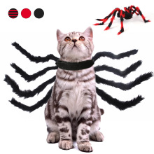 Amazon Pet Halloween Рождественский сундук с творческой кошачьей собакой маленькая собака -паука изменяемая одежда